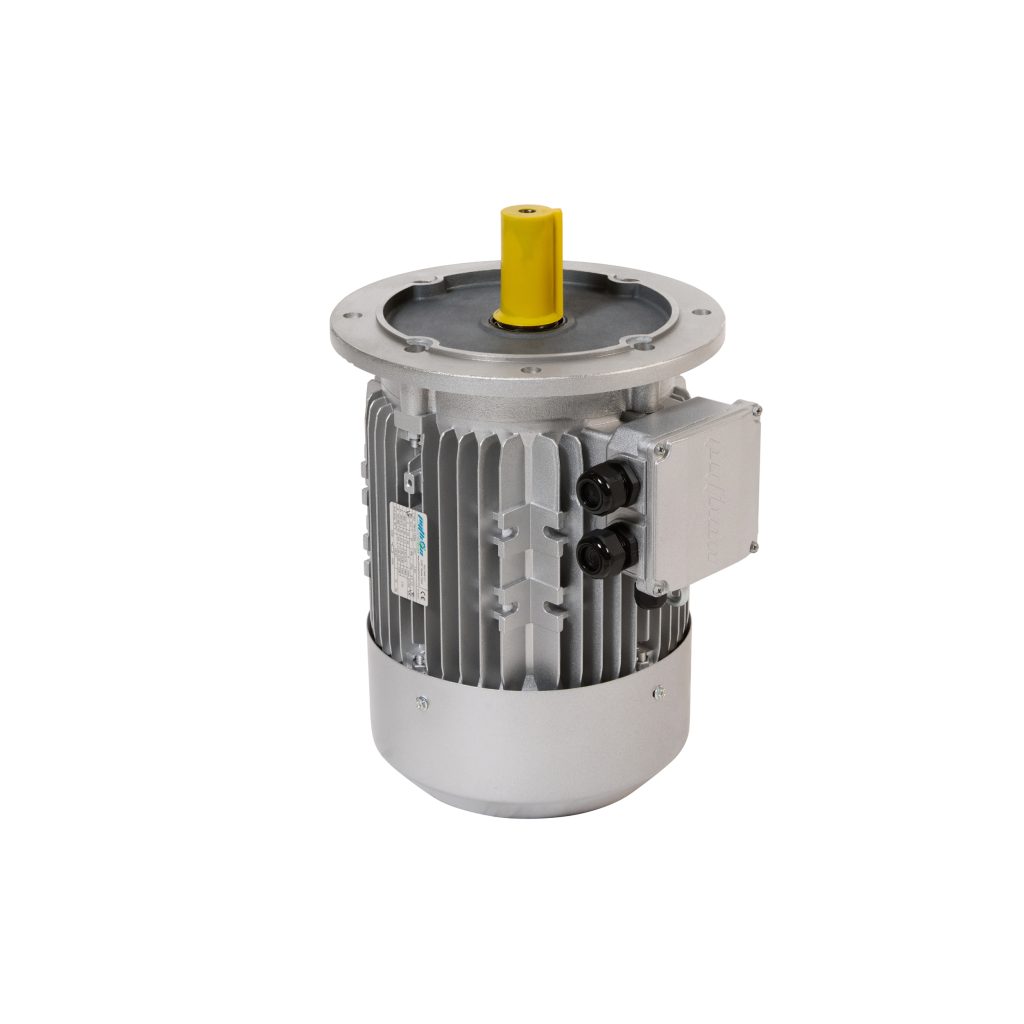 Python Three Phase Aluminum Electric Motor