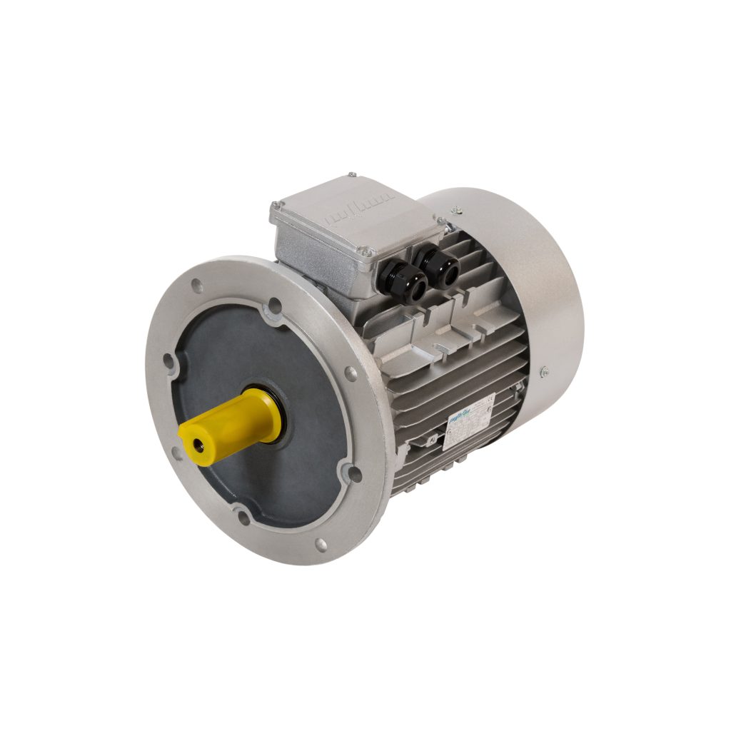 Python Three Phase Aluminum Electric Motor