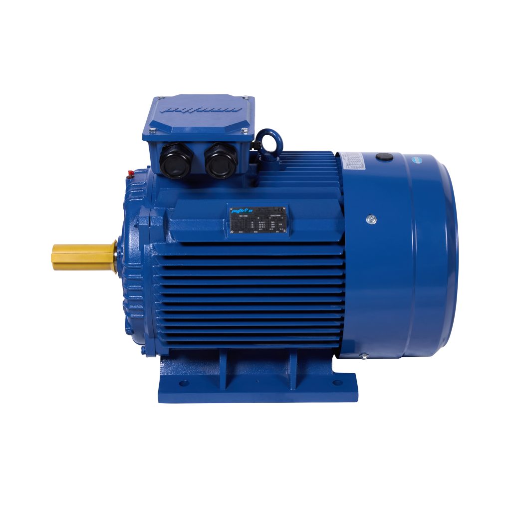 Python Three Phase Cast Iron Electric Motor