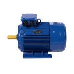 Python Three Phase Cast Iron Electric Motor