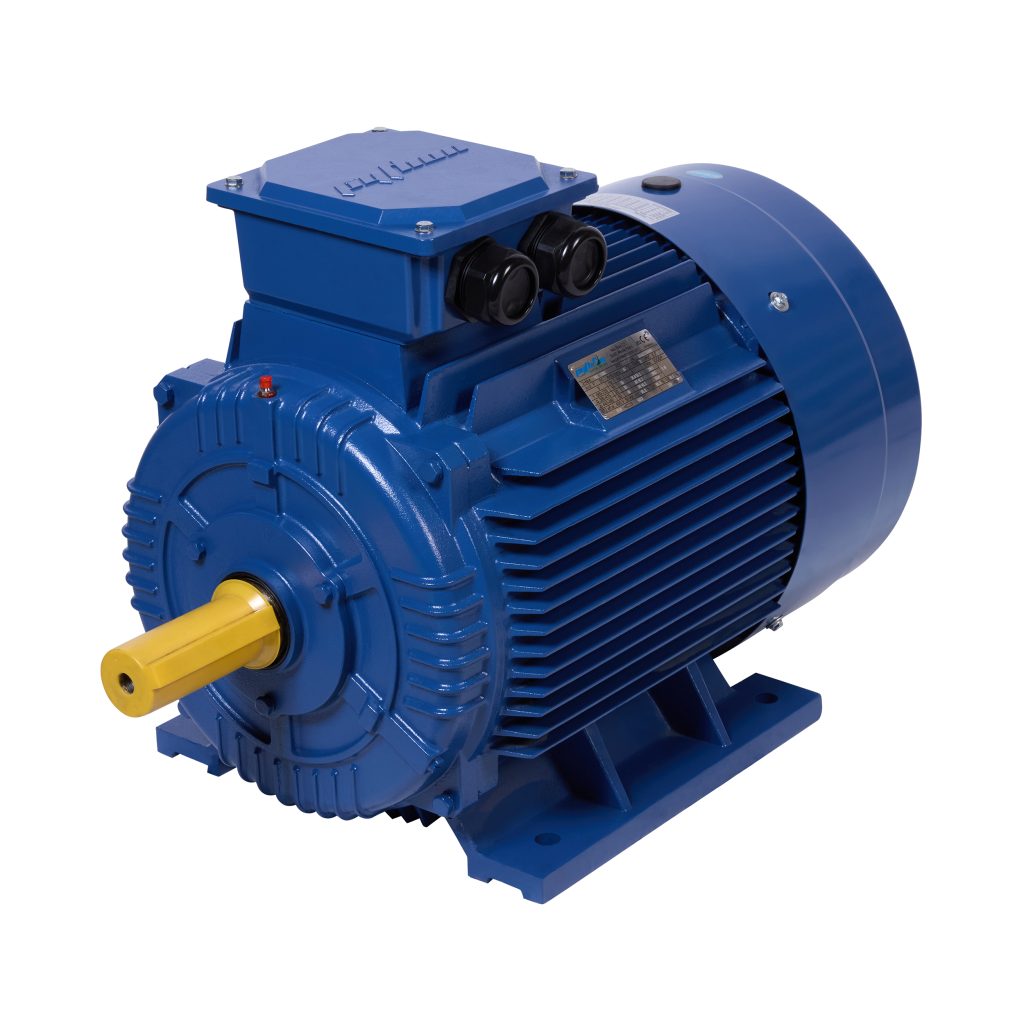 Python Three Phase Cast Iron Electric Motor
