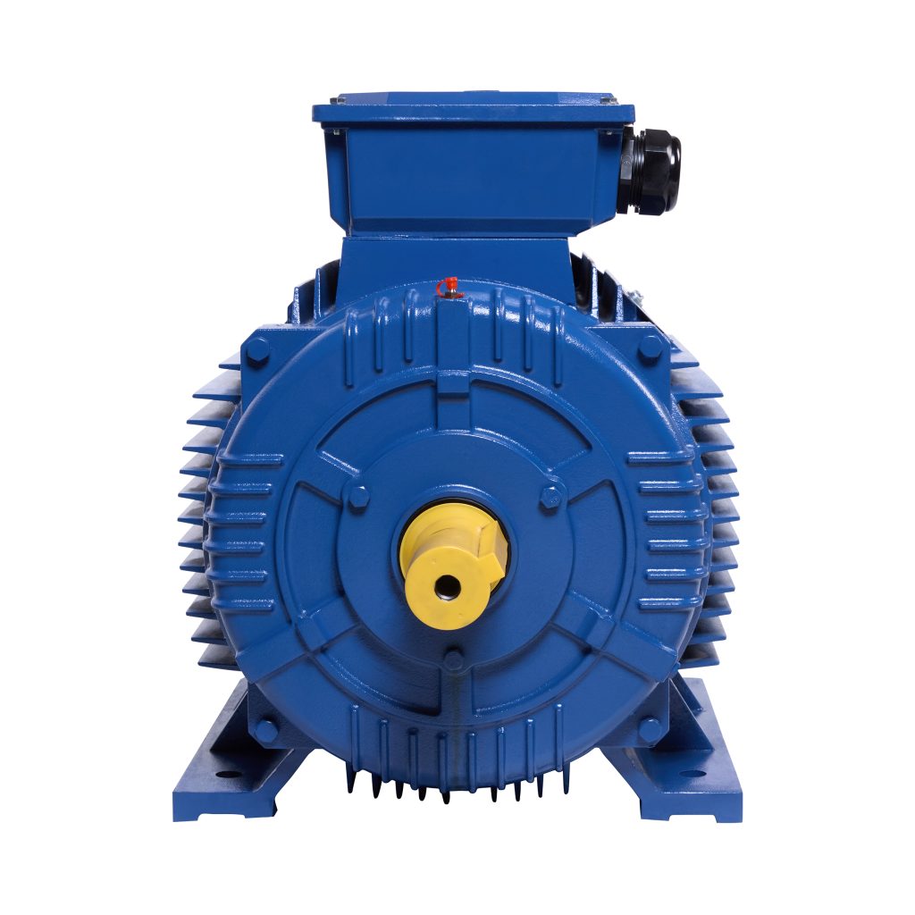 Python Three Phase Cast Iron Electric Motor