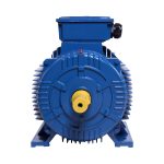 Python Three Phase Cast Iron Electric Motor