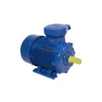 Python three phase Explosion Proof Electric Motor