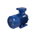 Python three phase Explosion Proof Electric Motor
