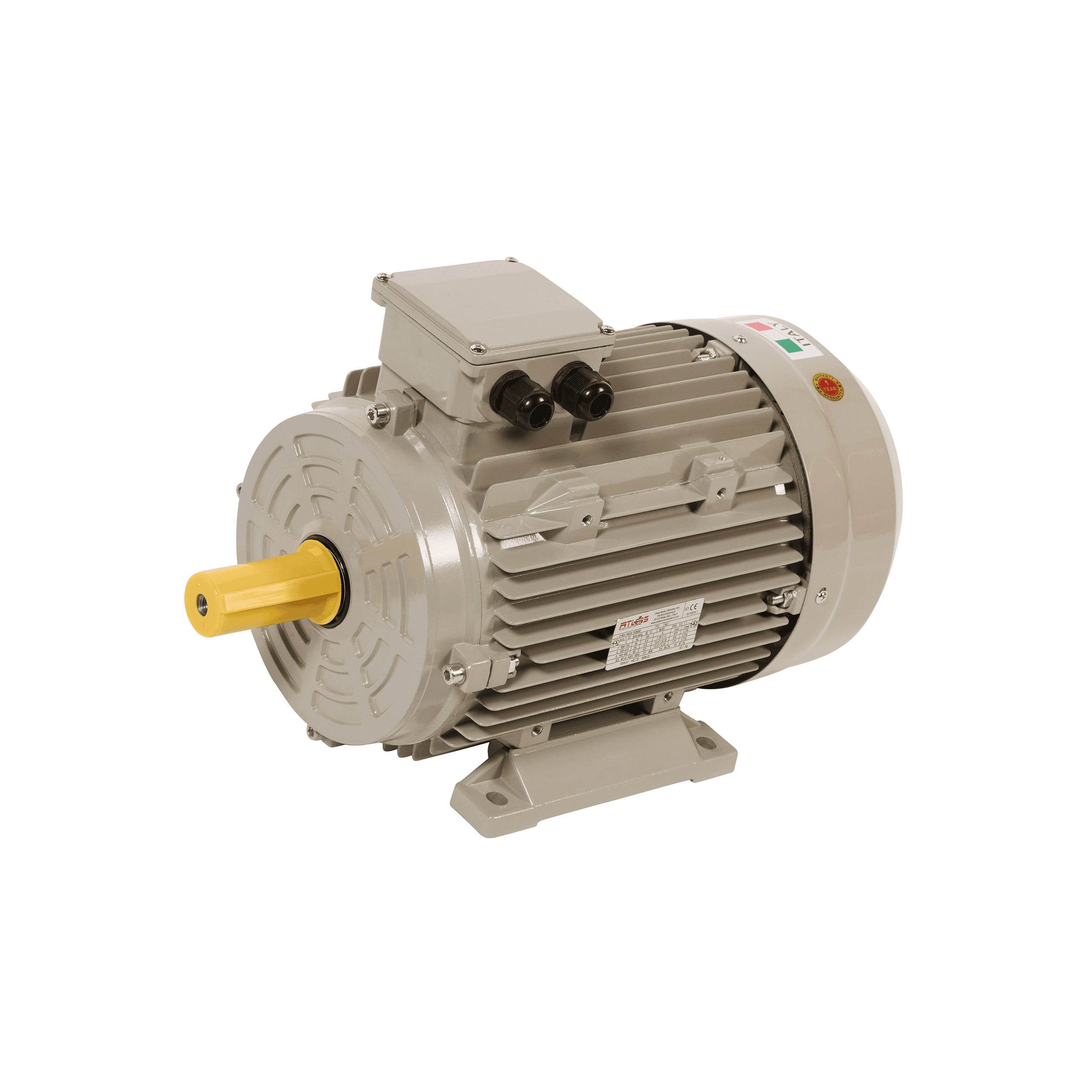 Double Speed Electric Motor