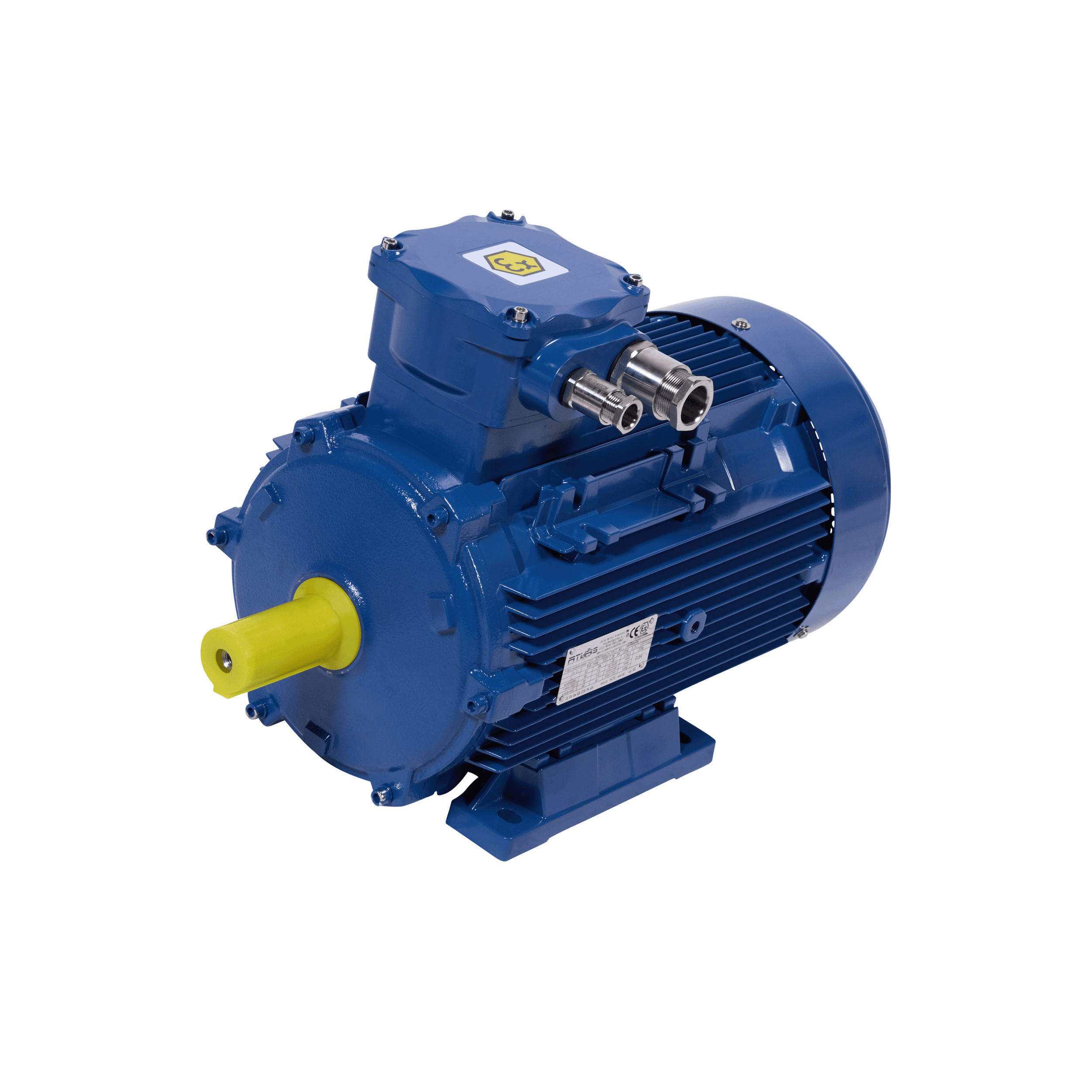 Explosion Proof Electric Motor