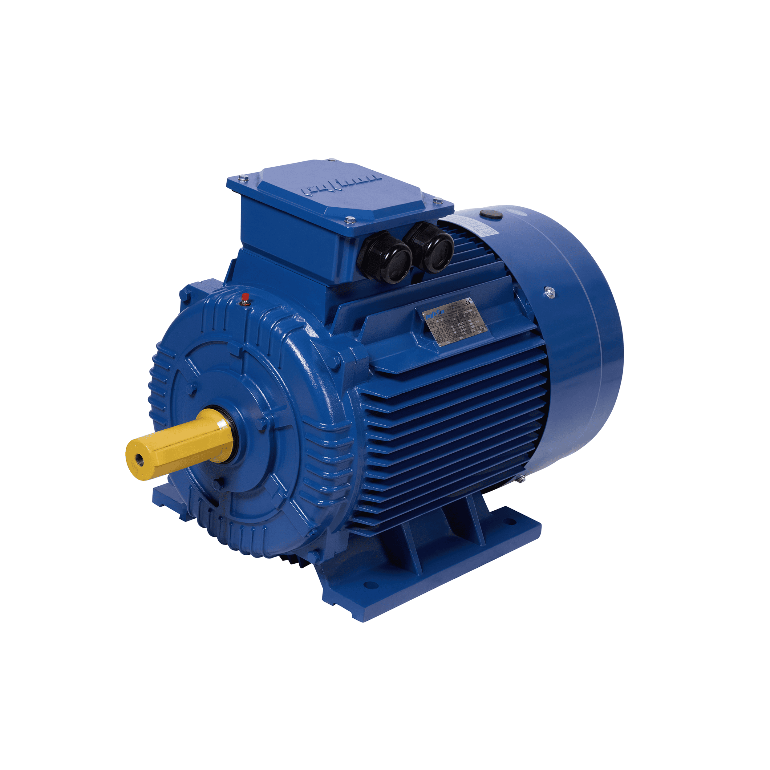 Cast Iron Electric Motor