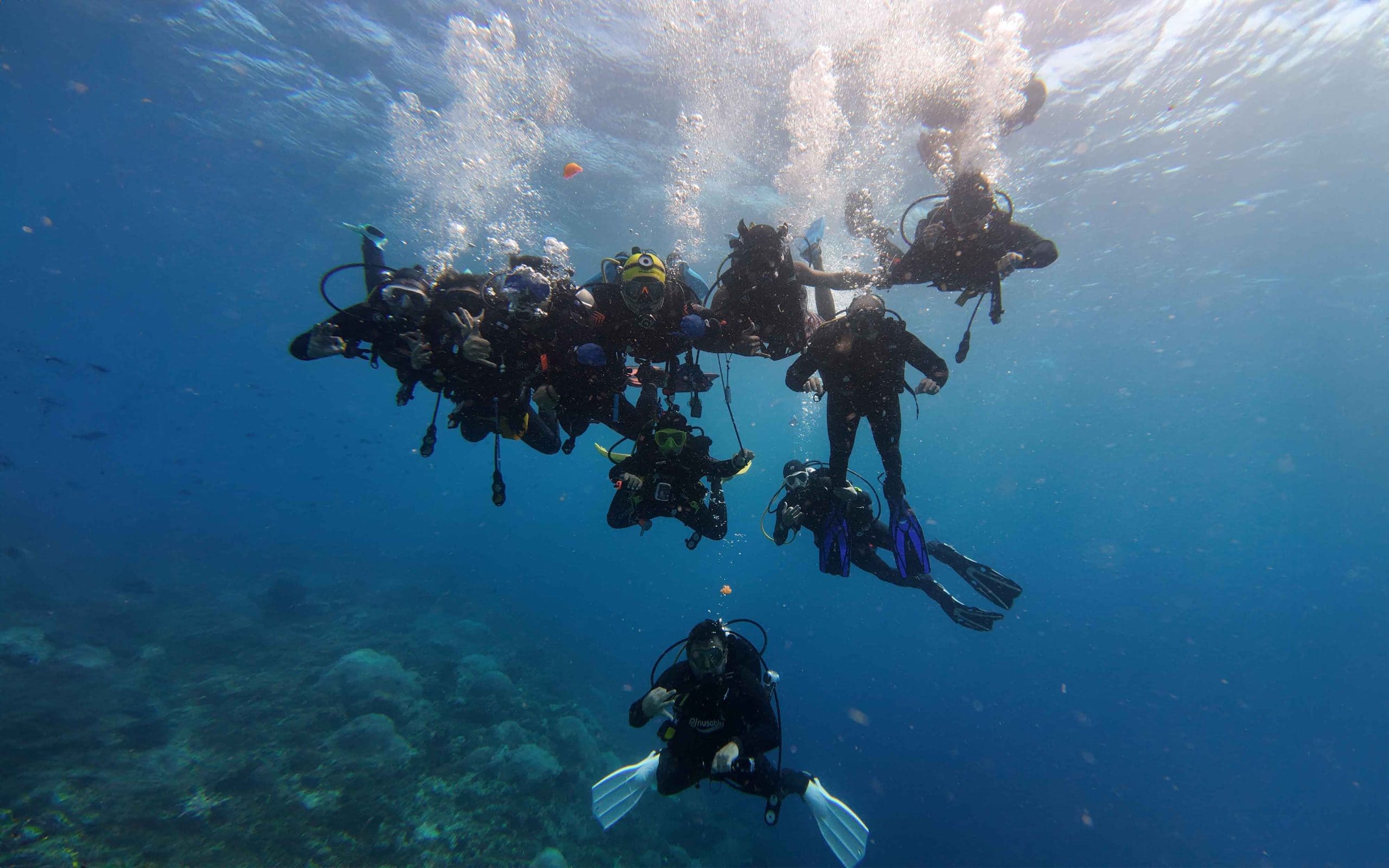 International Dive & Fun Trips
