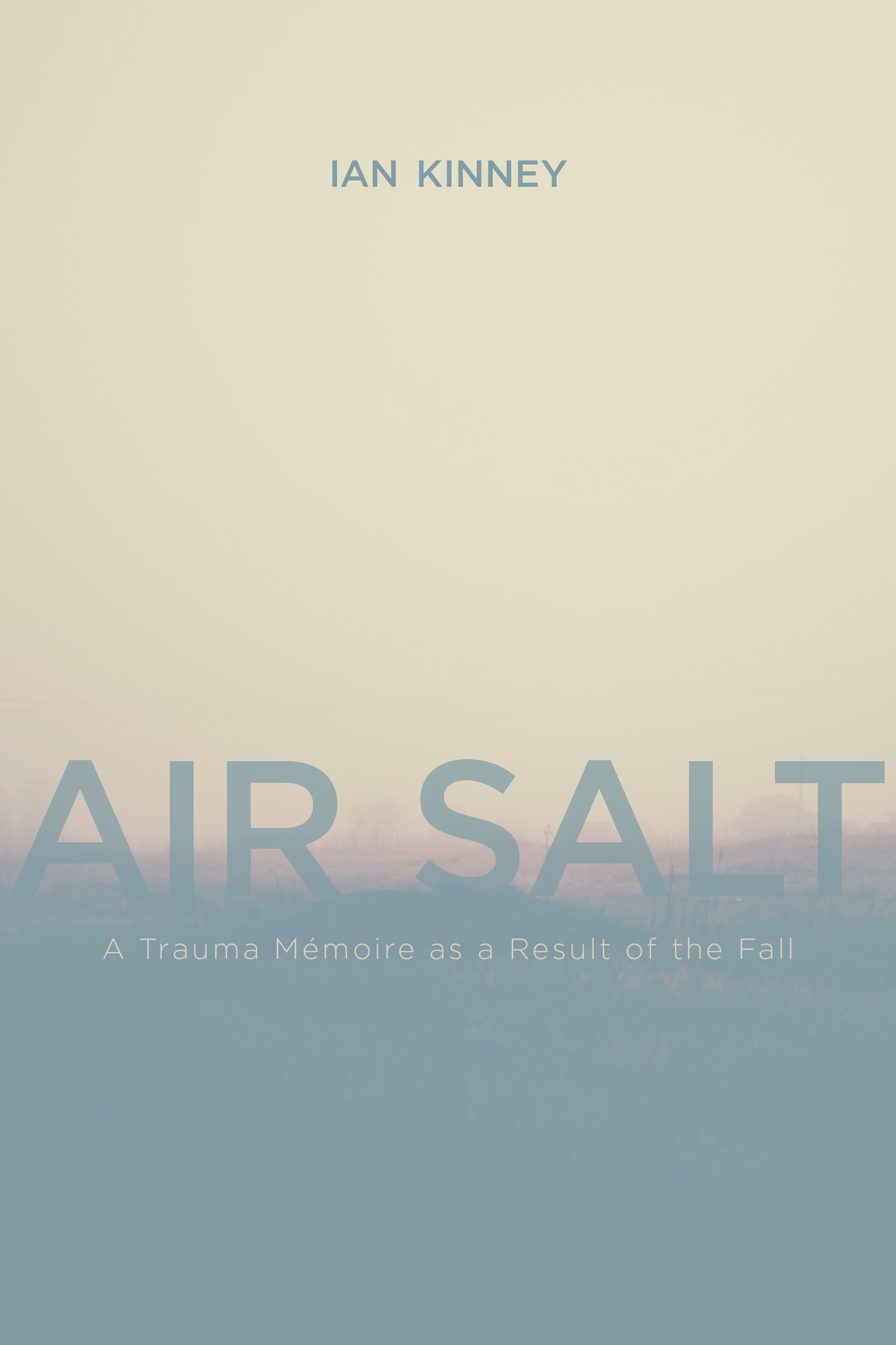 Book Cover Image for: Air Salt: A Trauma Mémoire as a Result of the Fall