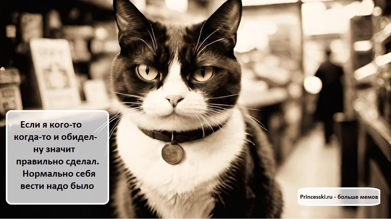 Мем с котиком