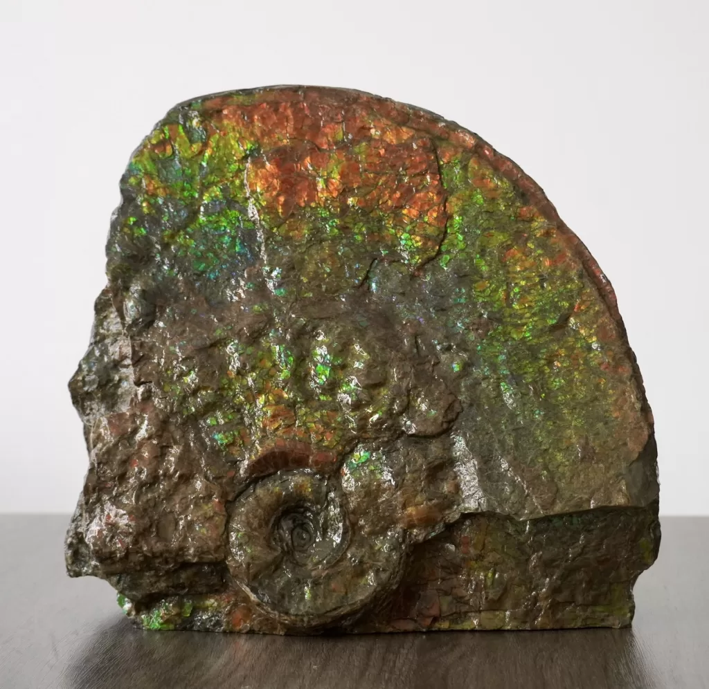 Prismmy Ammolite Prismmy Ammolite