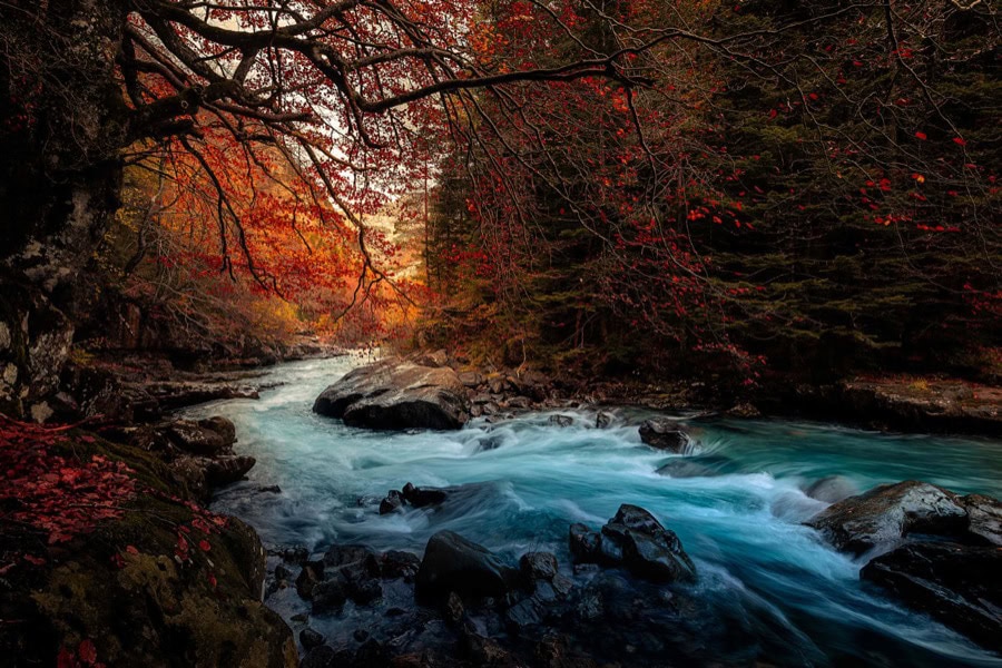Fotografía ganadora del reto Otoño místico, de Guillermo Calero González