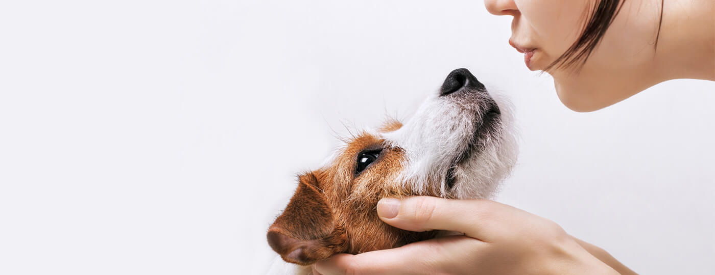 ProfesjonalnyPsi salon