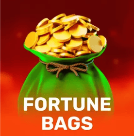 Fortune Bags
