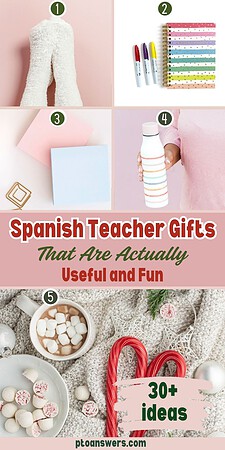 'spanish teacher fits that are useful and fun'