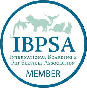 IBPSA Member