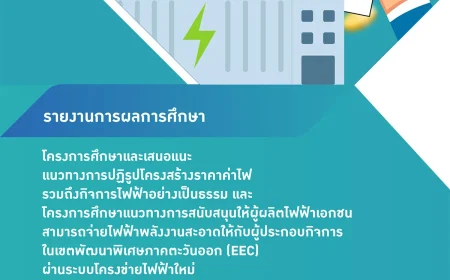 2025_07_STD_730033-1-cover