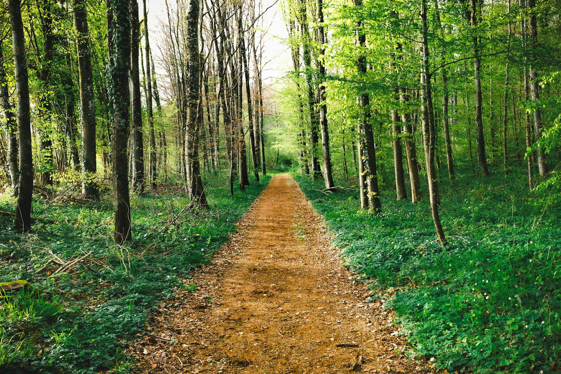 여행지 근처 산책 코스