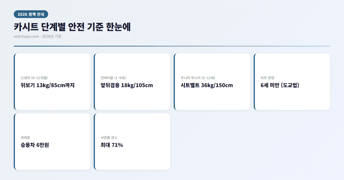 카시트 단계별 안전기준 인포그래픽