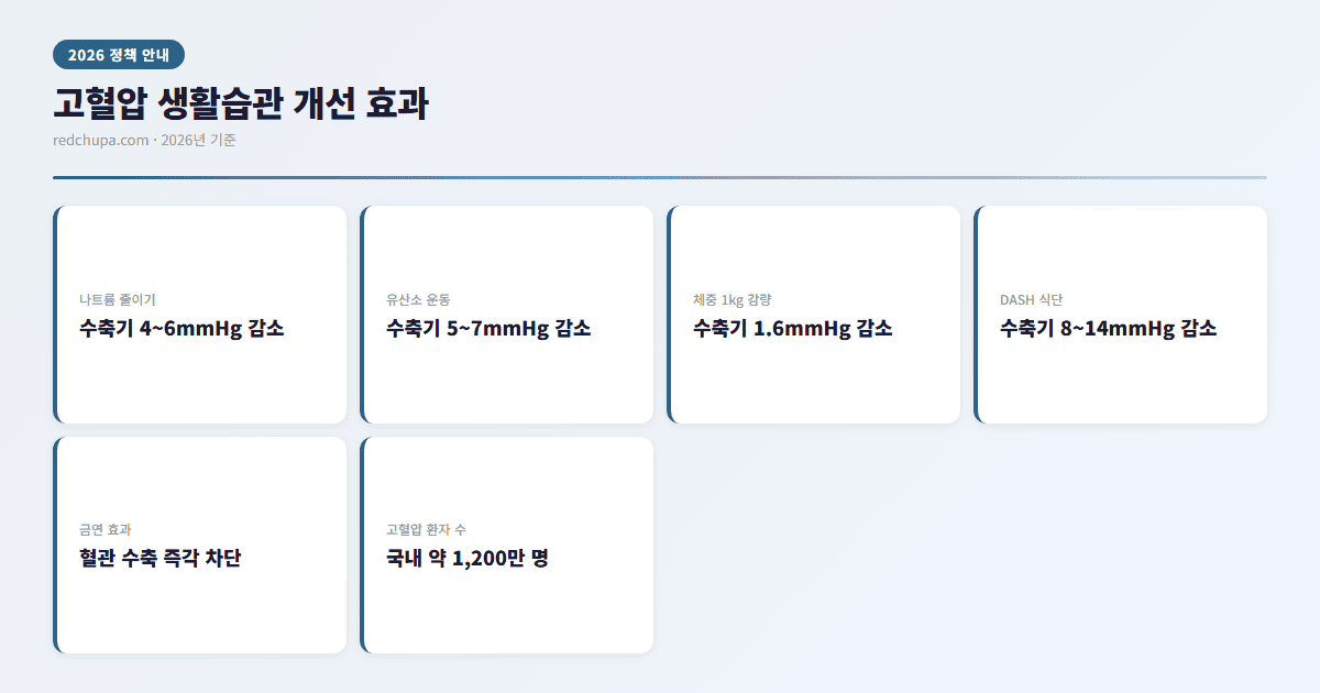 고혈압 생활습관 개선 효과 인포그래픽