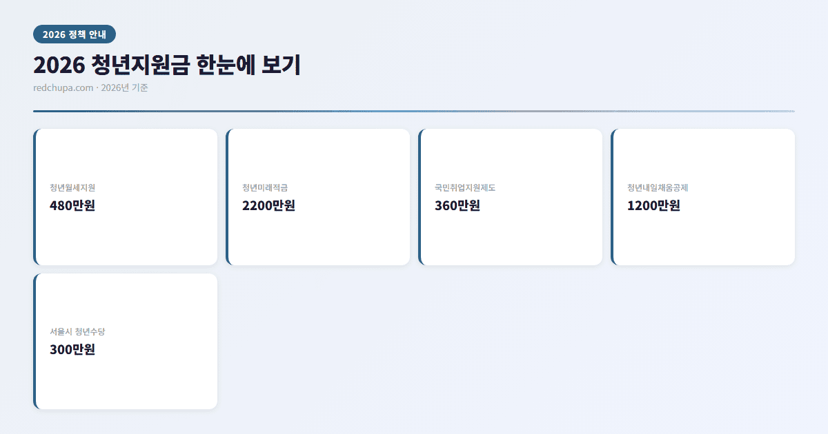 2026 청년지원금 종류와 금액 한눈에 보기 인포그래픽
