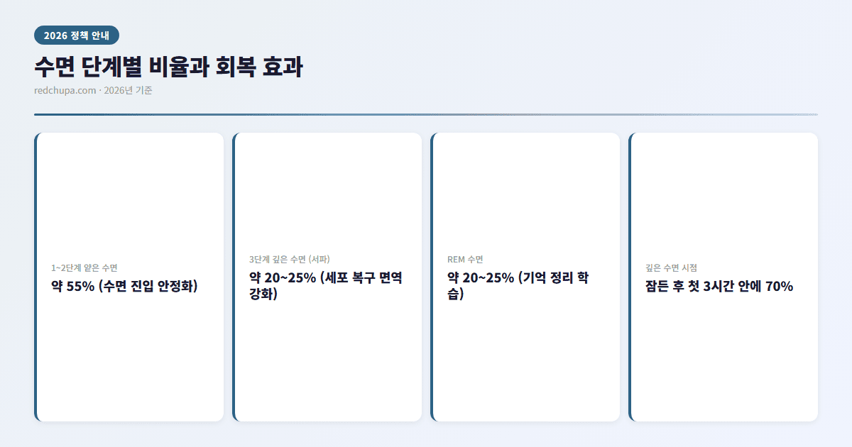 수면 단계별 비율과 회복 효과 인포그래픽