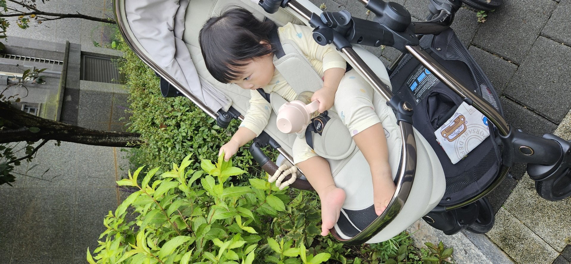 image 008 104