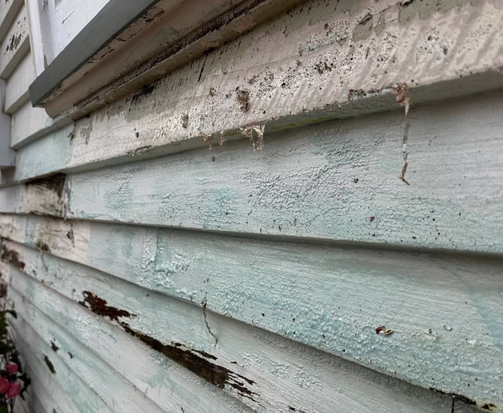 Paint Stripping