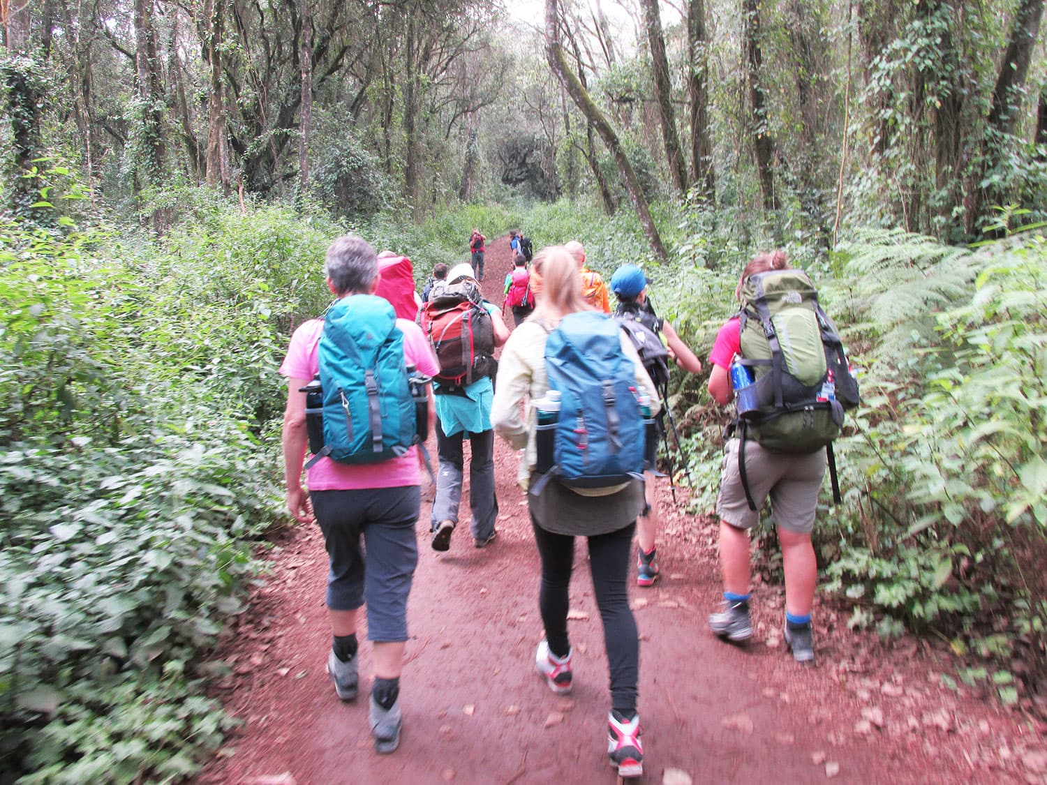 Climb Kilimanjaro 7 Days Machame Route