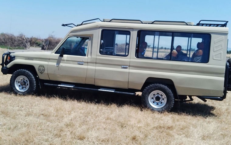 safari vehicle