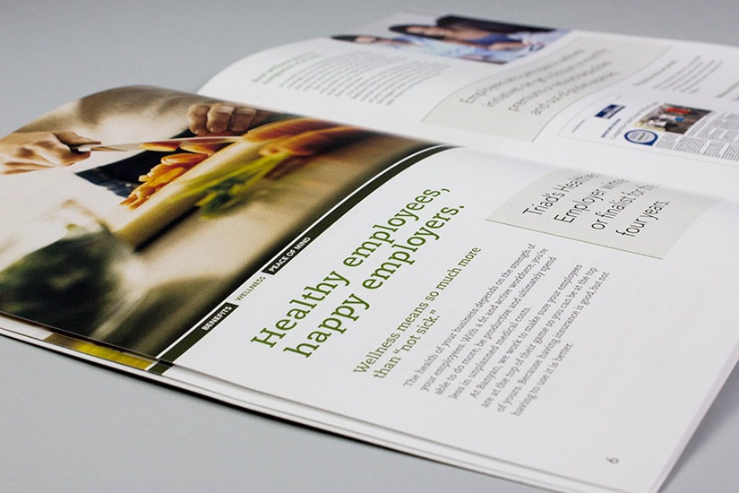 Banyan Consulting Group, Inc. Sales Kit | Red Letter Marketing