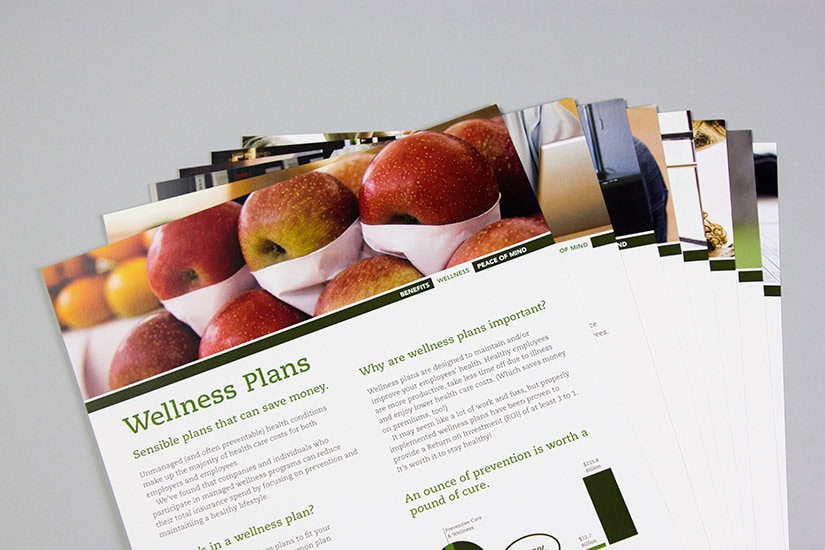 Banyan Consulting Group, Inc. Sales Kit | Red Letter Marketing