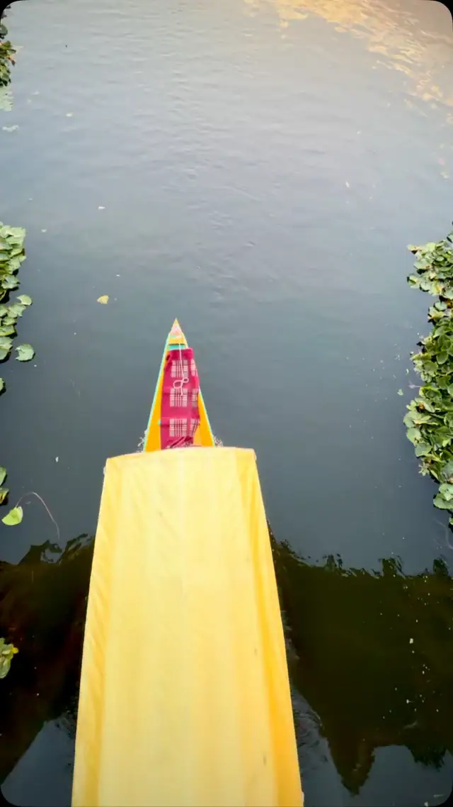 Es ist ganz wunderbar wieder auf dem schönen Dal See in Srinagar #kashmir zu sein!