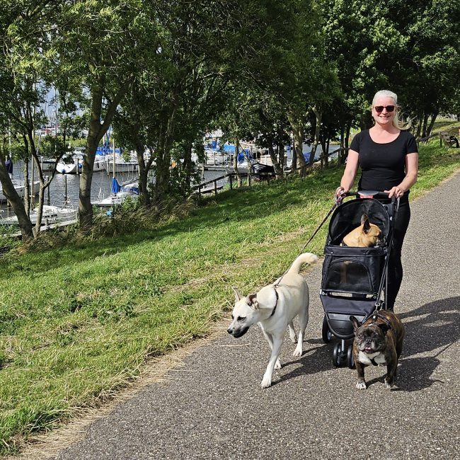Buggy mieten und alle kommen mit
