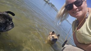 schwimmen mit hunden im ijsselmeer