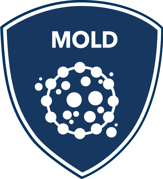 Mold Remediation