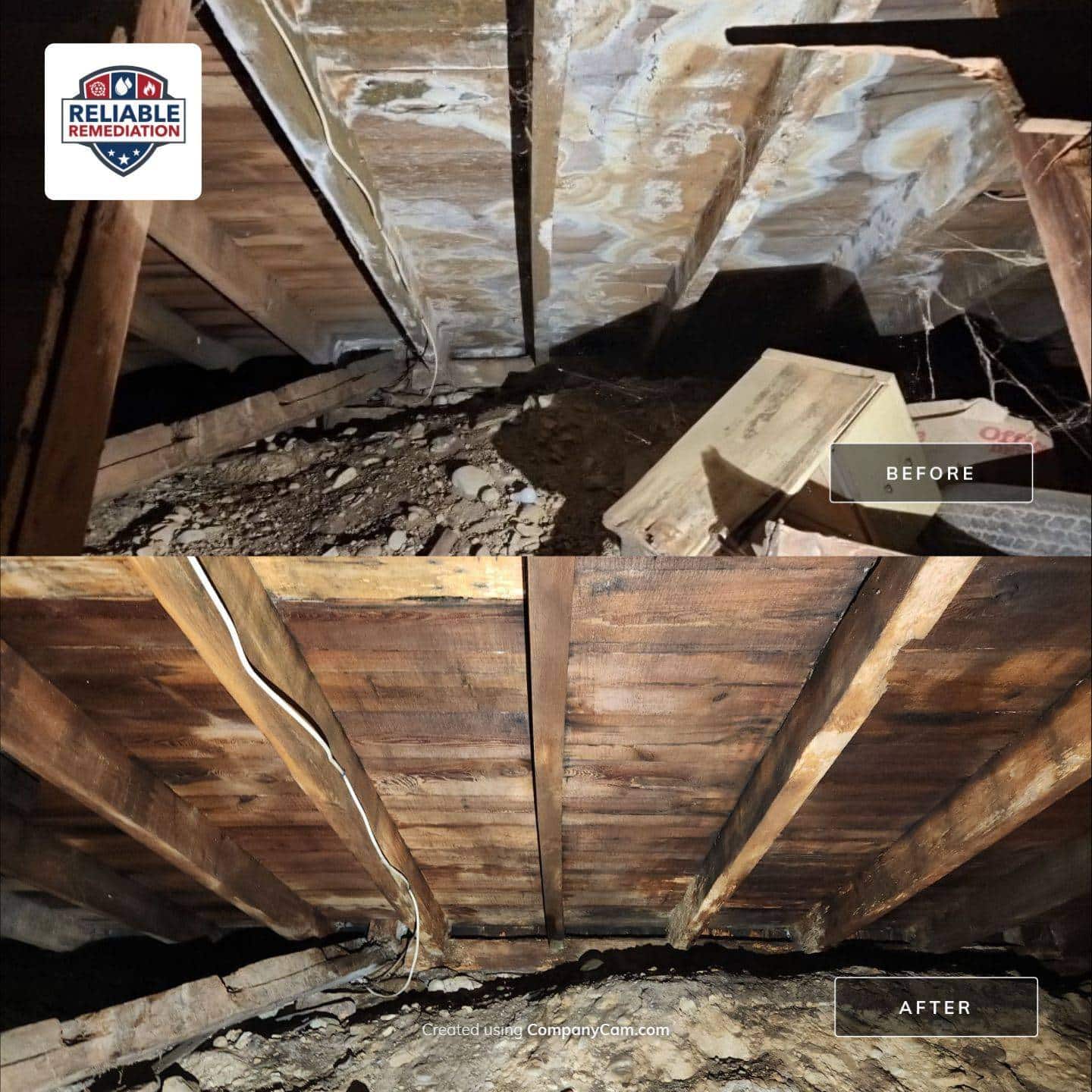 Basement Mold Removal