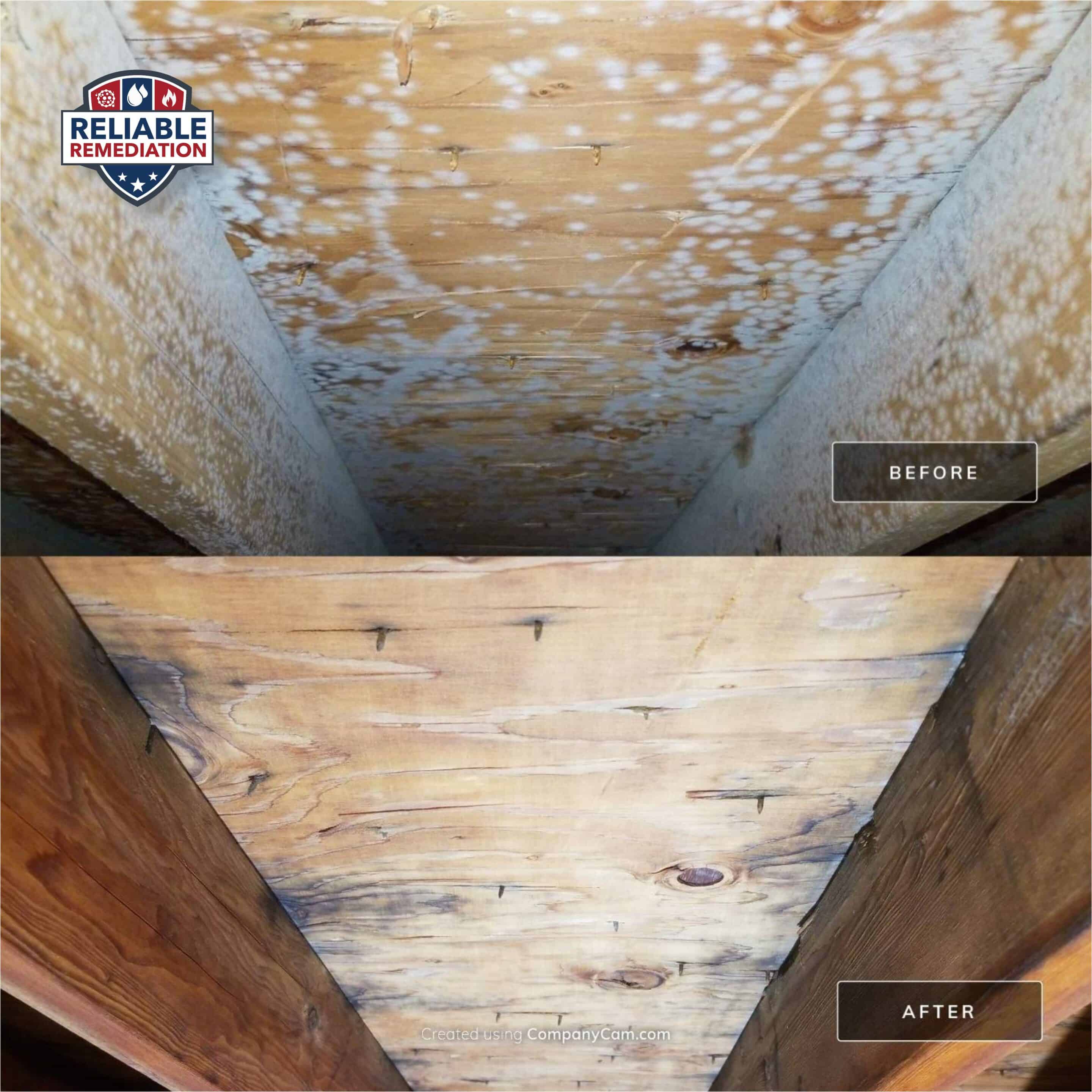 Mold before and after professional remediation