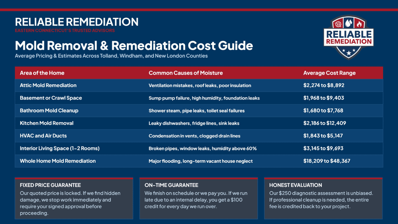 Eastern CT Mold Removal Pricing Breakdown