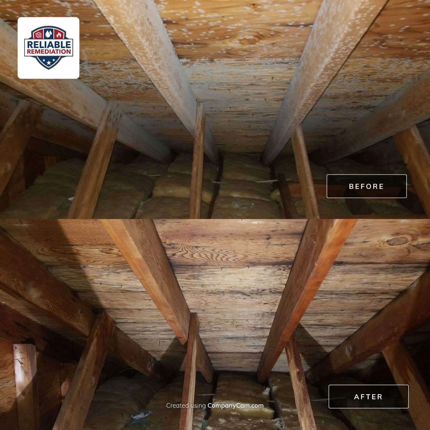 Attic mold removal in Eastern Connecticut — Reliable Remediation