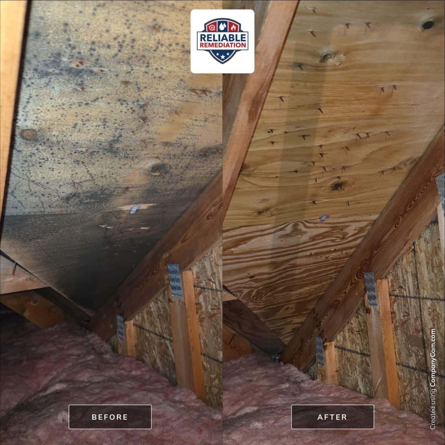 Attic stain remover — Reliable Remediation cleaning mold from attic wood sheathing in Connecticut