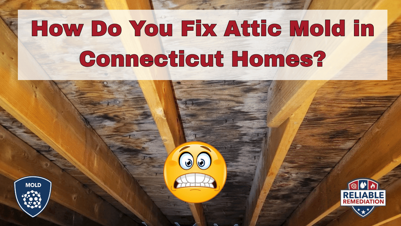 How do you fix attic mold in Connecticut homes — dark mold staining on attic roof sheathing