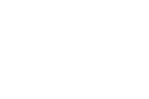 logosnprservice-300x200 copie