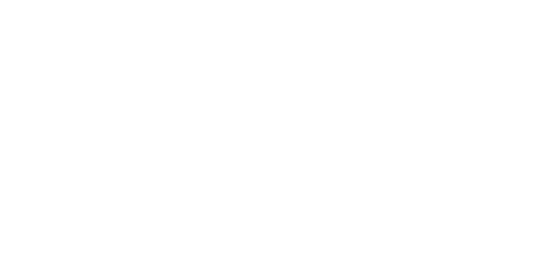 reference_intersport_logo copie