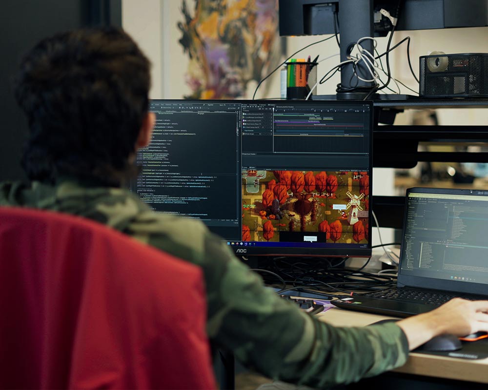 Capturing the essence