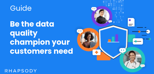 Be the data quality champion your customers need_image