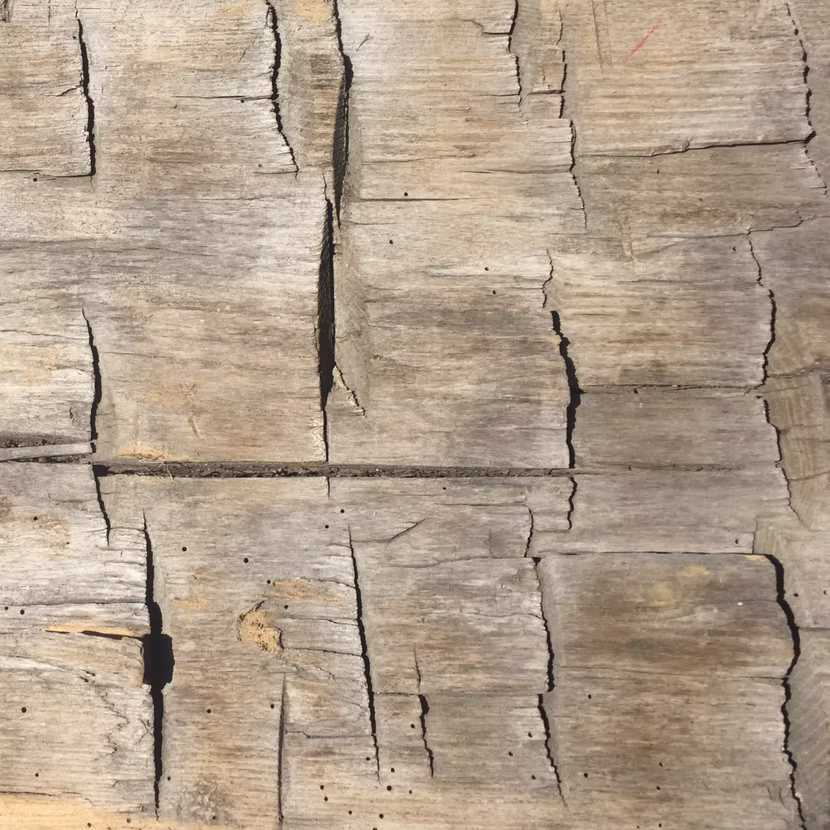 Hand Hewn