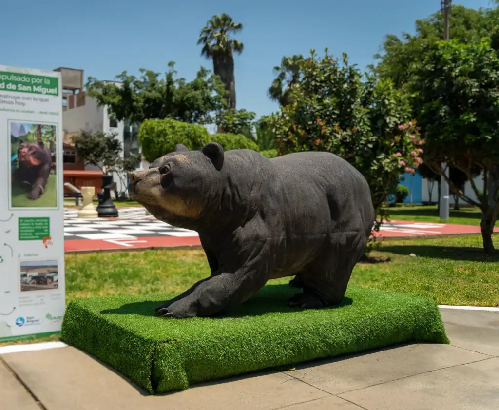 Oso – Animales infantiles