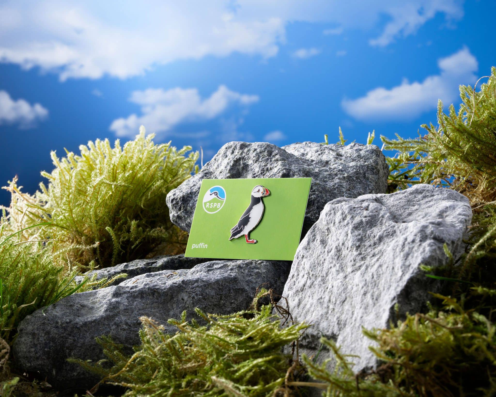 ROCK5545TESTSHOOT-RocketProducts0058-Edit-V2